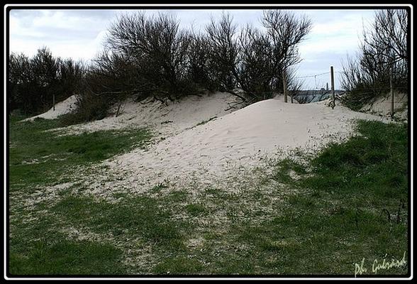 recul dune